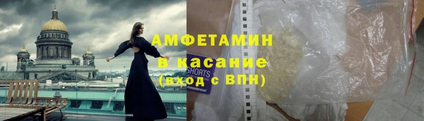 шишки Михайловск