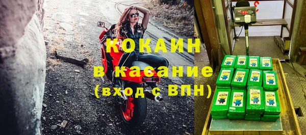 шишки Михайловск