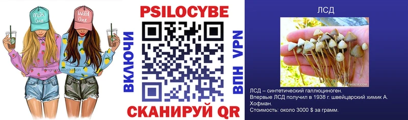 Псилоцибиновые грибы Magic Shrooms  Купить  Чудово 